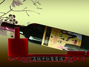 �����f�¸��\�I�N�߄�������