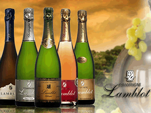 上海絲酒酒業(yè)