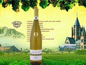 �B�T�������Q�����޹�˾