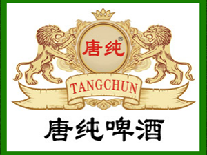 �Ƽ�ơ���N�����޹�˾