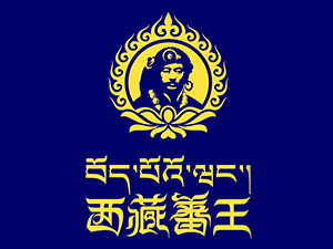 ����ެ�����Q���޹�˾