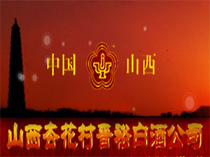 ɽ������ӻ���xԣ�׾ƹ�˾