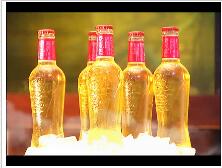 澳新四海啤酒(中國)有限公司拿破侖品牌部