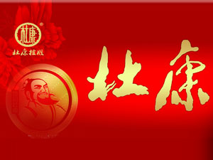 洛陽(yáng)杜康控股有限公司