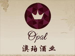 �V�ݰ����Q(m��o)�����޹�˾