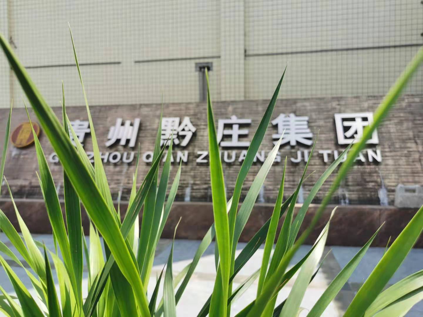 �F��ǭ�f�ƘI���F���޹�˾