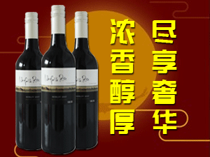 �Ϻ��ω􌍘I���޹�˾