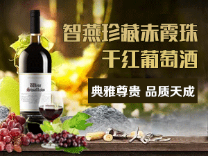 �Ϻ��Ϲ����H�Q�����޹�˾