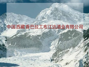 ����������������_�ƘI���޹�˾