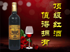 拉菲酒堡進(jìn)出口深圳有限公司