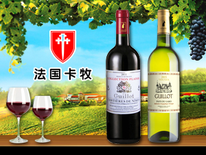 �����༪�壨�B�T���M�������޹�˾