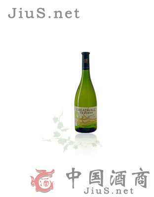 ��s2008�߼�(j��)ɯ��(d��ng)�ݸɰ�