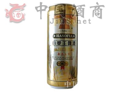 �����Iʥ���Ɓ�С����