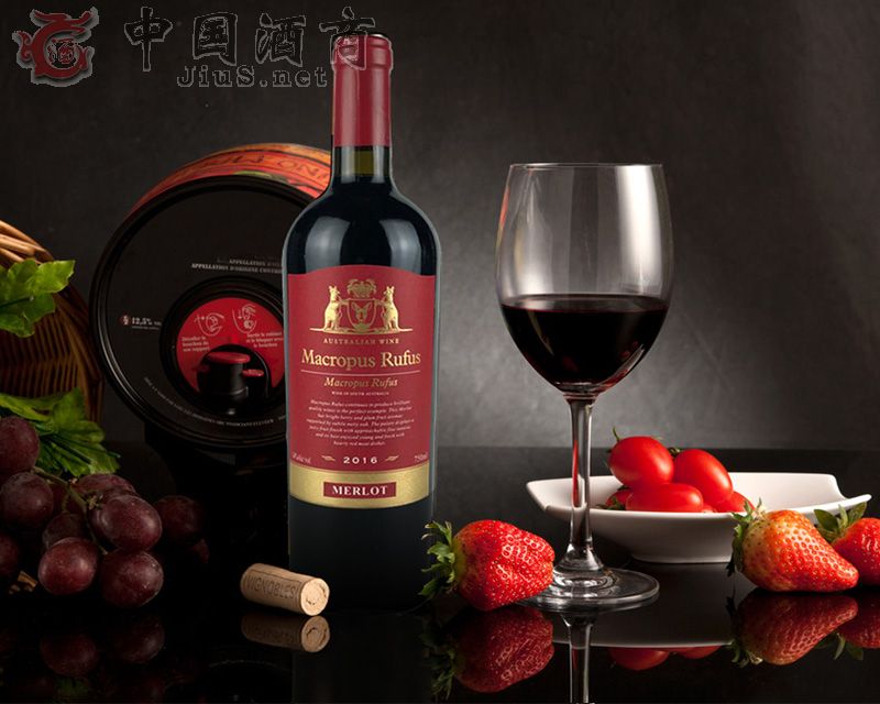 �����������ɼt���Ѿ�