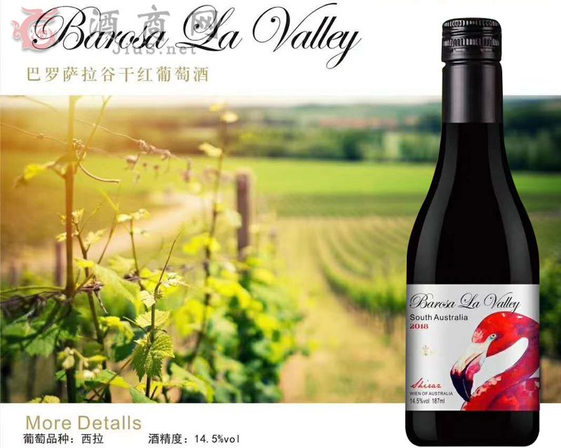 ���_�_���ȸɼt���Ѿ�