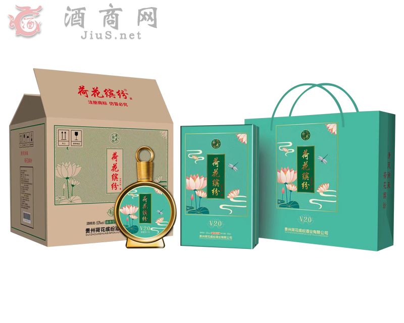 �ɻ��_��V20��